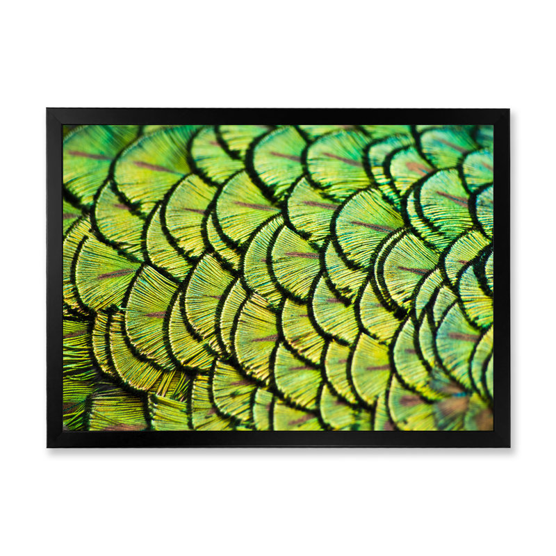 Plumes de paon vert - reproduction d'art sur toile, Cadre photo noir, H 8 po x l 12 po x P 1 po
