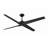 Zeveren 56'' Ceiling Fan with LED Lights-88597314