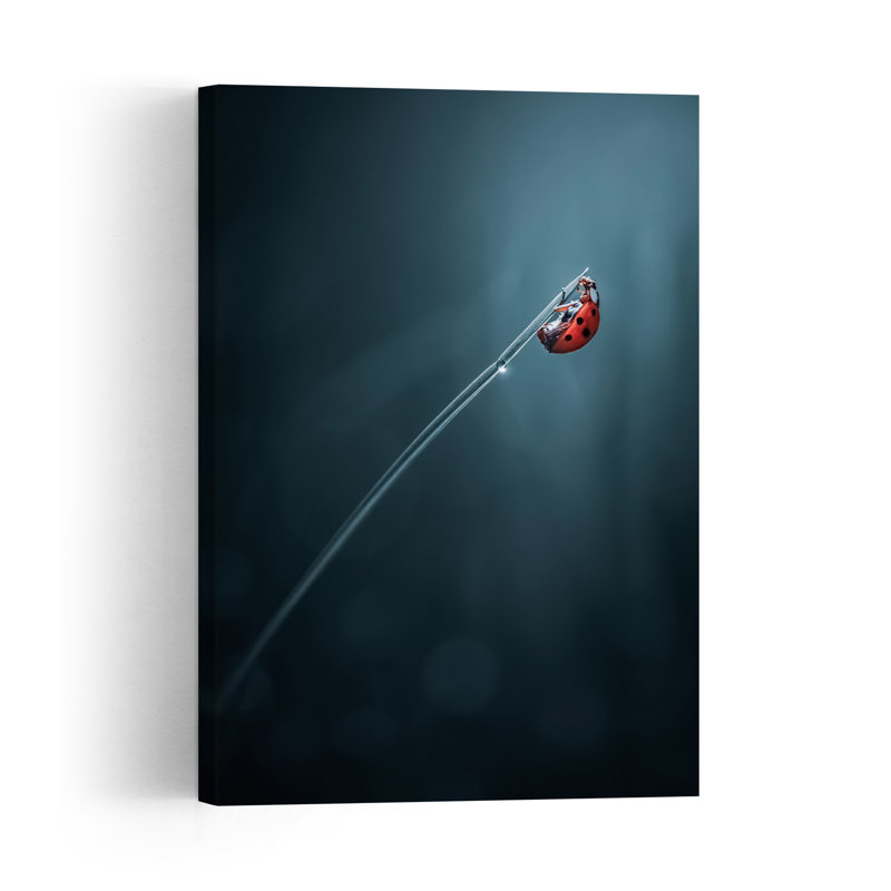 Red Ladybug Morning Dew Minimalist Serene Ladybug Nature Plant Wall Art Print by Atul Saluja - Print, 152.4cm H x 101.6cm W
