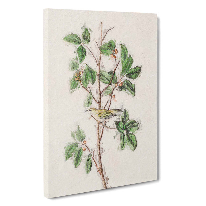 Tennessee Warbler Bird by John James Audubon - Wrapped Canvas, 76cm H x 50cm W x 3cm D