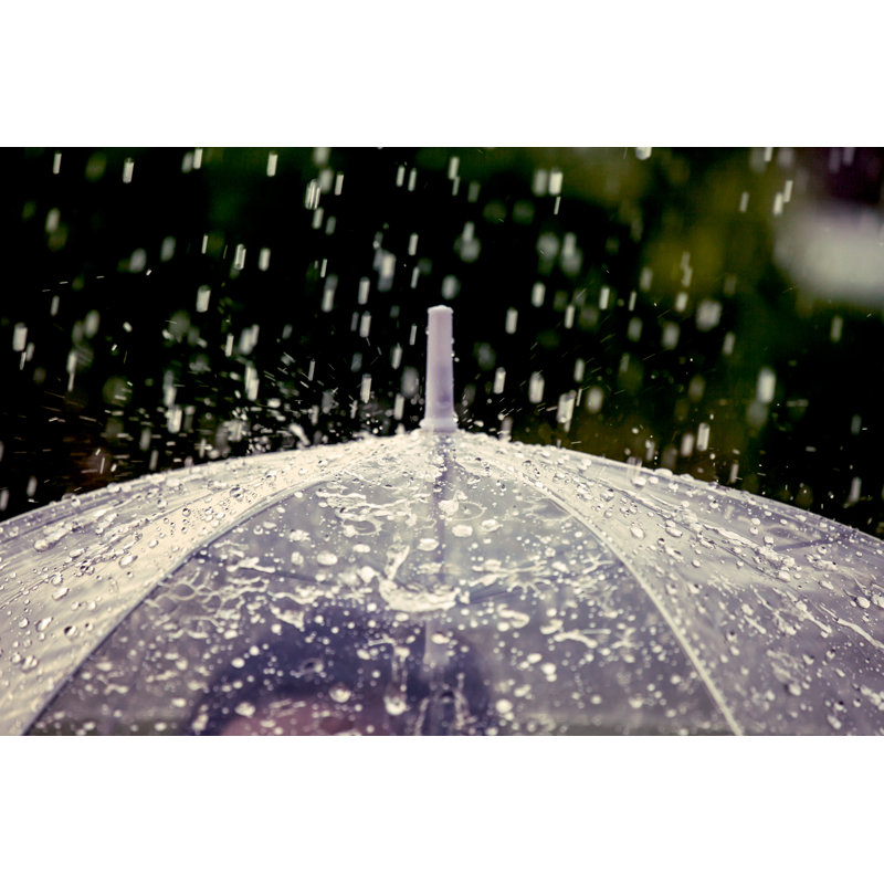 Umbrella In The Rain by Sasiistock - Wrapped Canvas Print, 30cm H x 46cm W x 3.8cm D