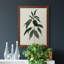 «Soft Greenery II», peinture sur toile encadrée-969736322-969736346