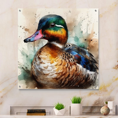Magnificent_Male Duck II - Duck Acrylic Wall Art