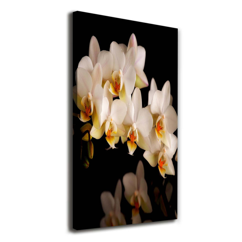 Orchid - Wrapped Canvas Print