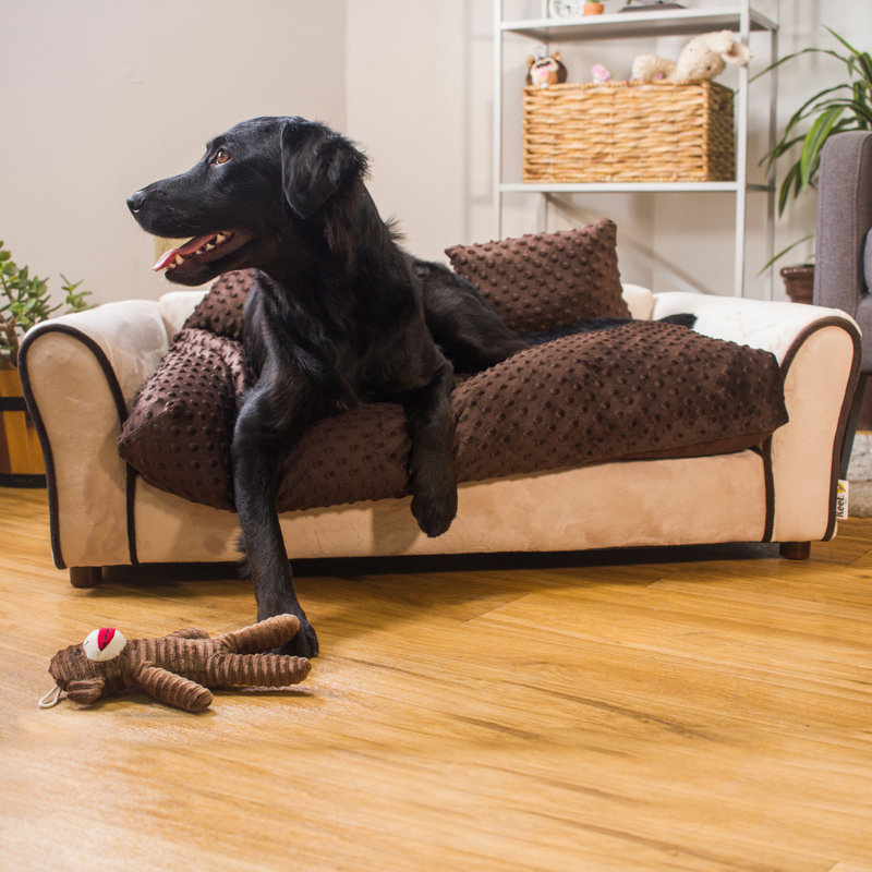 Canapé pour chien Pablo, L 40 po x l 23 po x H 13 po, Kaki