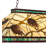 Hubbell 3 - Light Kitchen Island Pendant