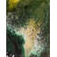 Creek Bed Print by Rachel Farmer-1385903324-1385903283
