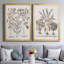 «Sepia Besler Botanicals I», ensemble de 2 reproductions d'art sur toile encadrées-998066296-998066299