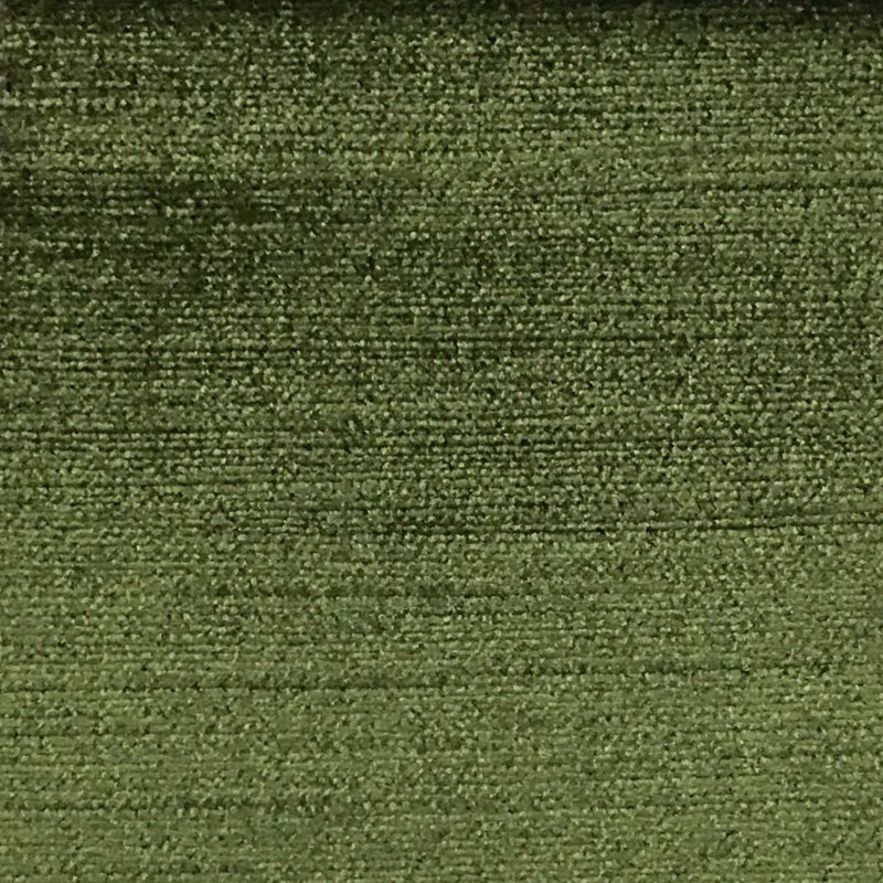 Majestic-Queen Shany Cotton Plain Velvet Fabric, Moss