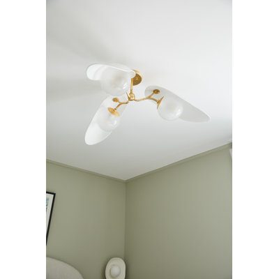 Bacia Wall Sconce by ENY LEE PARKER