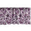 Cantonnière mauve Ambesonne-100746787