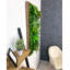 106cm Plant-313620039