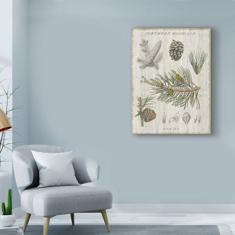 «Woodland Chart III», impression sur toile tendue, H 19 po x l 14 po x P 2 po