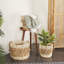 Ensemble de 3 paniers en ruppie maritime