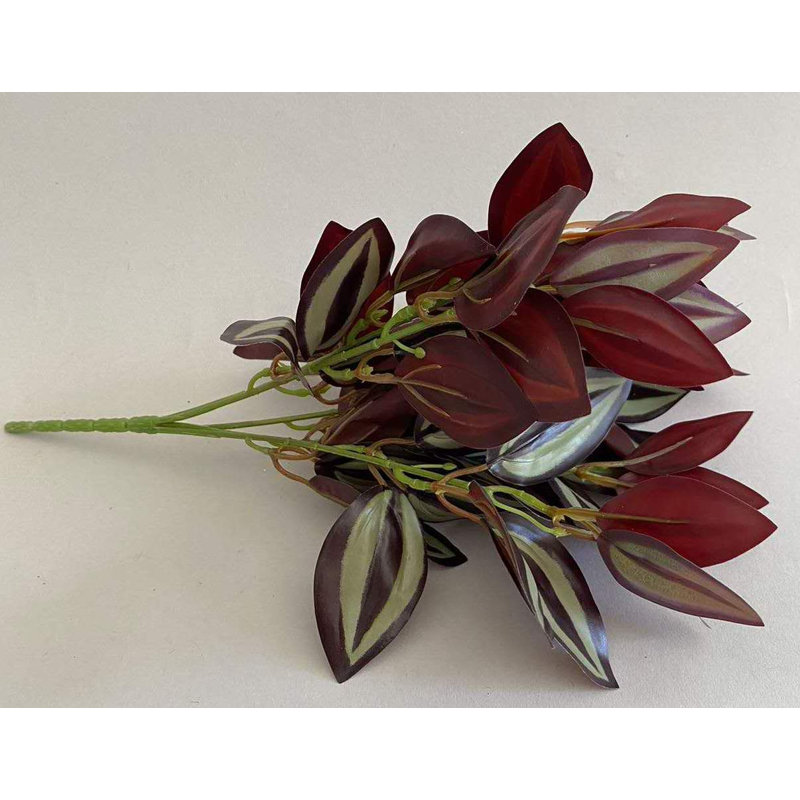 POT ZEBRINA VIOLETTE