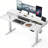 Adjustable Height Electric Standing Desk with Drawers for Home Office, Gaming Table with Storage Shelf & 4 Preset Heights-822786025-822786030