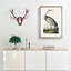 Hooping Crane by John Audubon - Picture Frame Painting Print-55579916-55579919