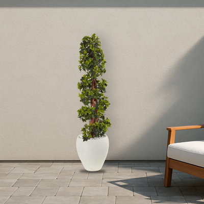 English Ivy Spiral Topiary Tree in Planter