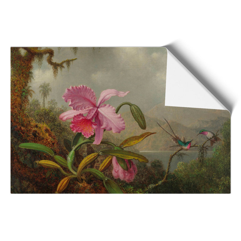Orchid With Hummingbirds Vol.1 by Martin Johnson Heade - No Frame Painting, 42cm H x 59cm W x 0.1cm D