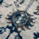 Hyde Oriental Indoor Rug