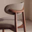 Modern Solid Wood Dining Chair, Upholstered Seat, Curved Ergonomic Backrest, Sturdy Frame Side Chair-1532558966