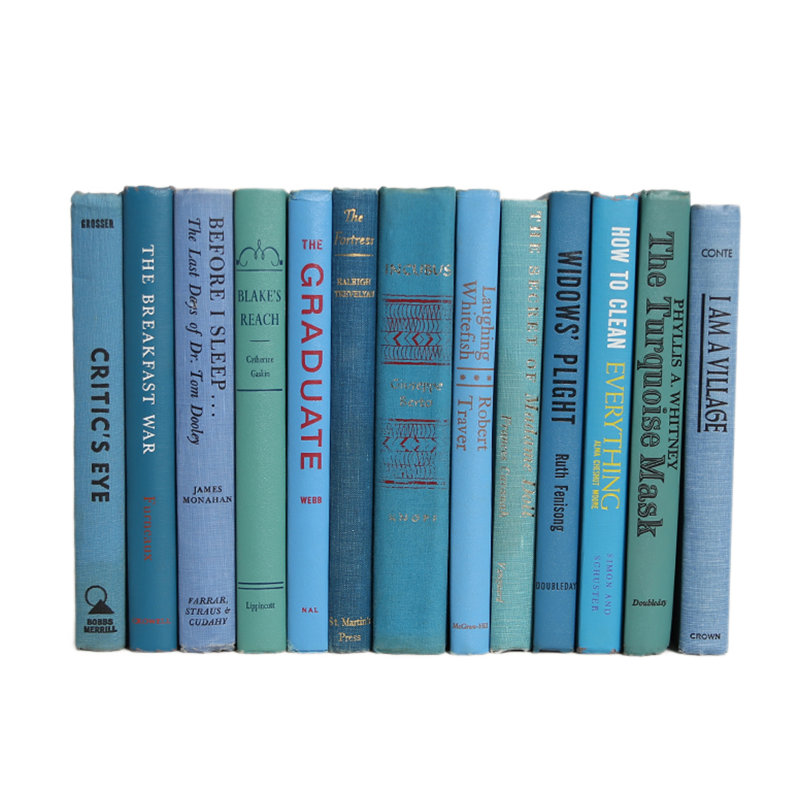 Livres décoratifs - Livres d'îles rétro - Livres bleus au pied
