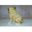 Statue de chien carlin Hode