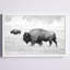 «Buffalo pair» par Marmont Hill - reproduction de photo sur papier encadrée-1296739270