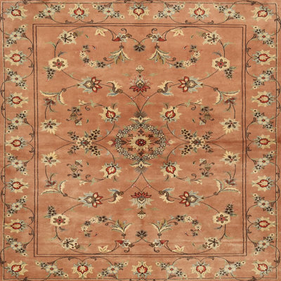 Hasnain Oriental Indoor Rug