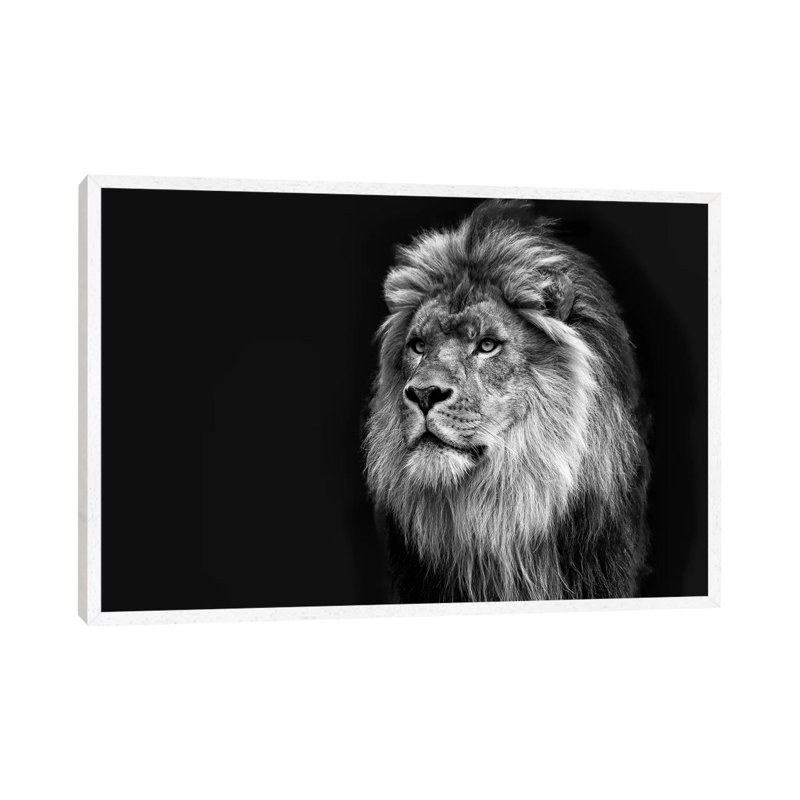 Majestic In Black & White by David Gardiner - Print on Canvas, 66.04 cm H x 45.72 cm W, White Framed