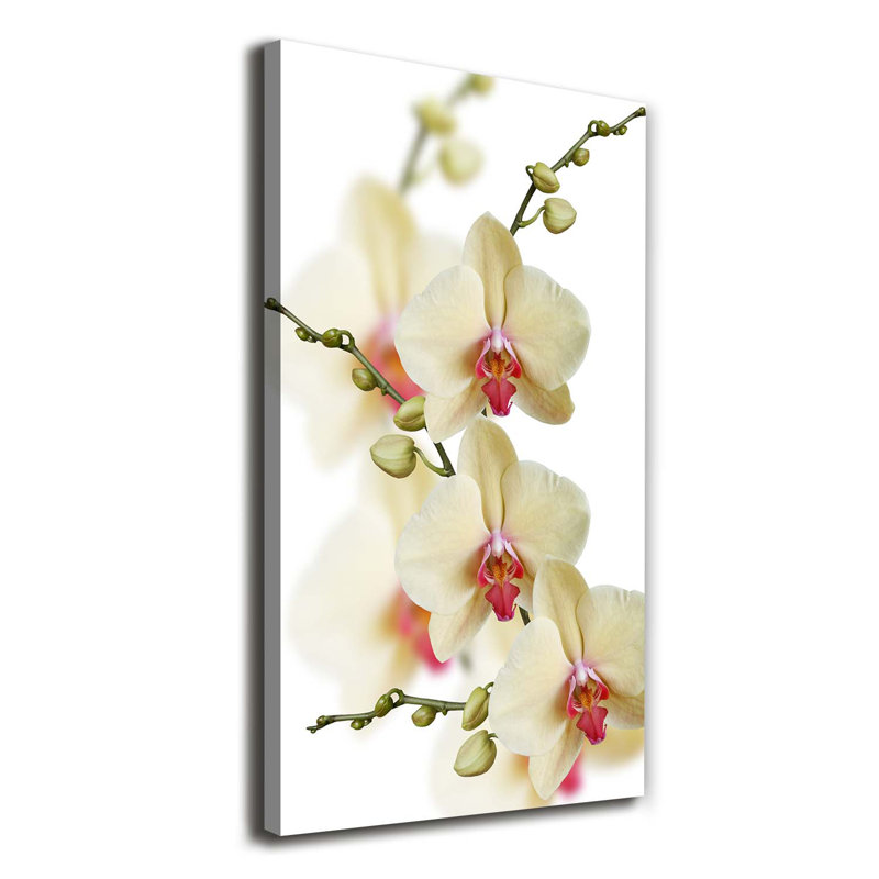 Orchid - Wrapped Canvas Print