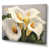 Wrapped Canvas
