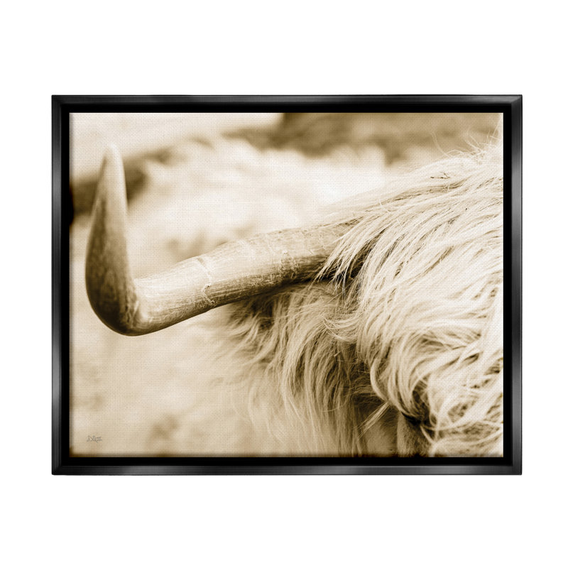 Beautiful Longhorn Highland C best Horn Sépia par Donnie Quillen - photographie de cadre flottant