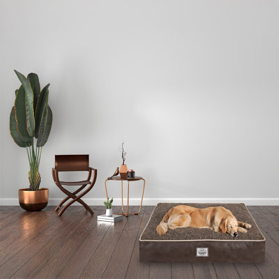Lit pour animaux