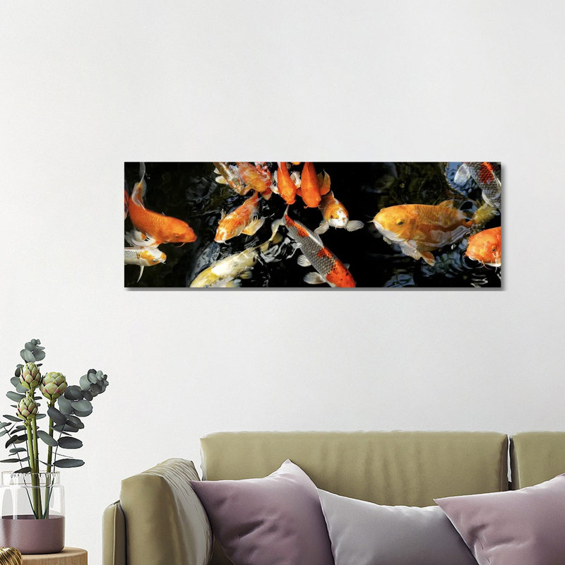 Koi Carp Swimming Underwater #2 - Wrapped Canvas Panoramic Print, 121.92 cm H x 40.64 cm W x 1.91 cm D