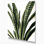"Watercolor Botanical 49", art mural sur toile beige