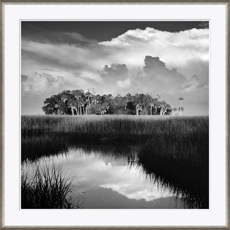 Marsh In Black & White Giclee Print