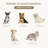 Tenley Polyester Pet Bed