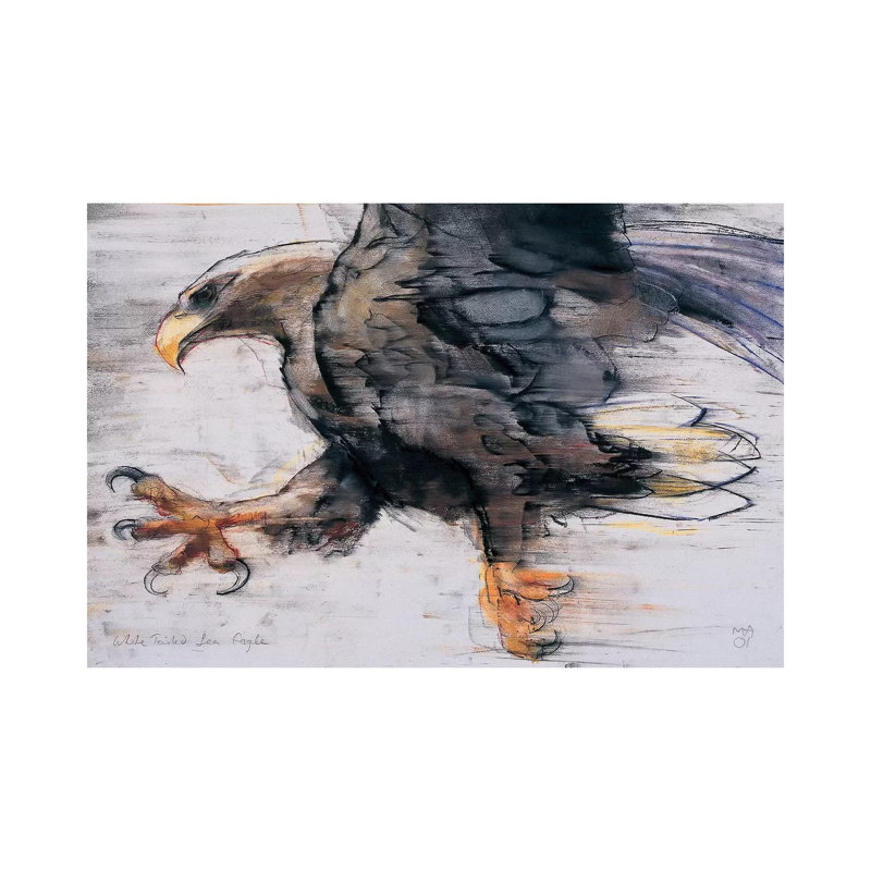 Talons by Mark Adlington - Wrapped Canvas Gallery-Wrapped Canvas Giclée