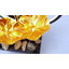 Fontaine de bureau Golden Lotus
