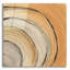 «Gilded Rings» par Chris Paschke-1449427218
