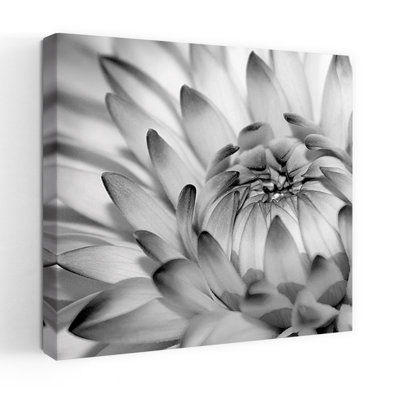 Fibonacci 2 Contemporary Dahlia Flower Art