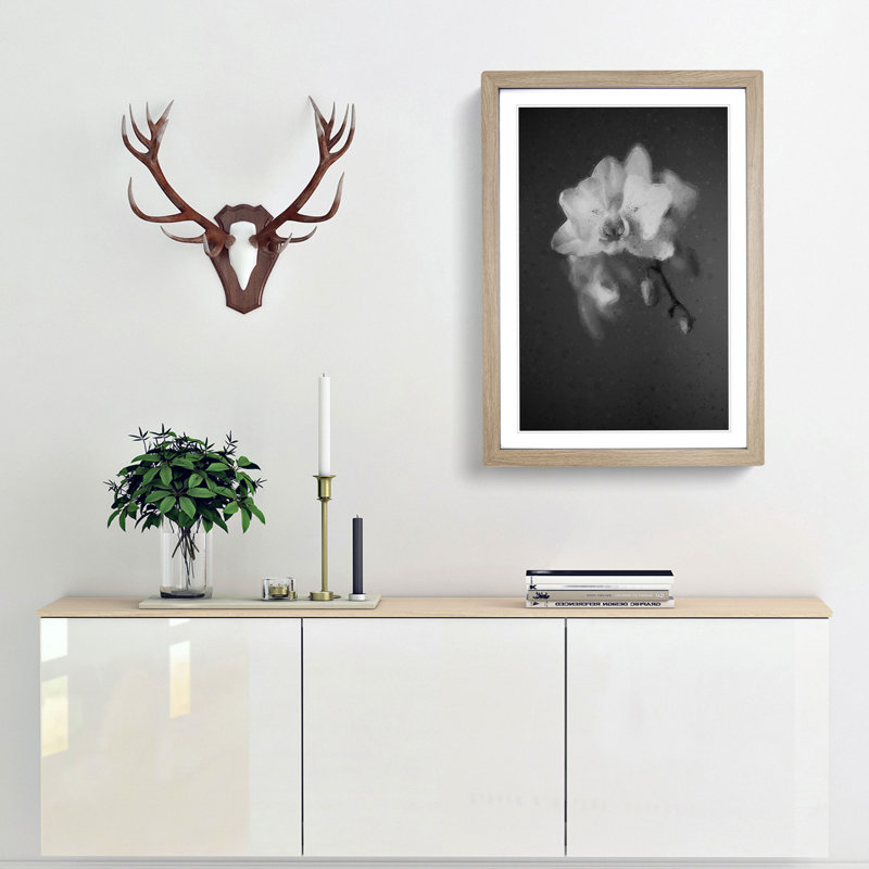 Pretty White Orchid - Picture Frame Graphic Art Print, 50cm H x 35cm W x 2cm D, Oak