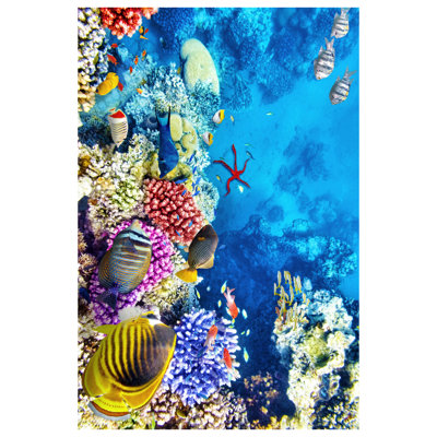 Albro Indoor Rug
