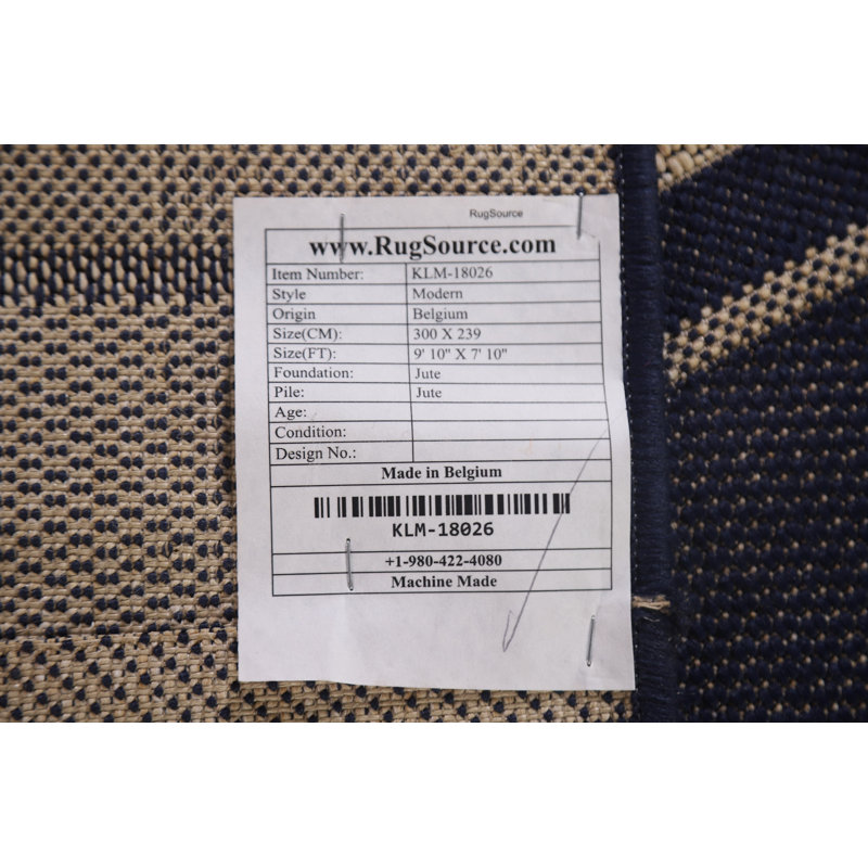 Striped Hand-Knotted Rectangle 7'10" x 9'10" Jute Area Rug in Beige/Blue