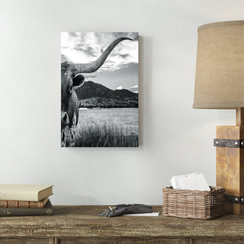«Black and White Longhorn Cow» - Photographie sur toile tendue, H 18 po x l 12 po, Toile avec cadre noyer, Non
