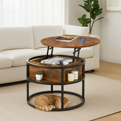 Lift Top Coffee Table with Storage