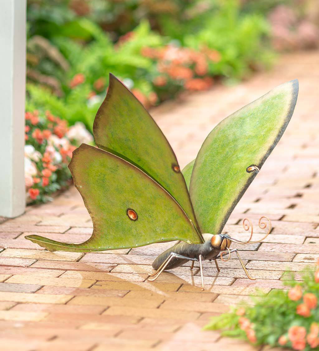 Wind & Weather Insects Weather Resistant Metal Garden Statue & Reviews ...
