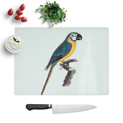 Tempered Glass Macaw Parrot Chopping Board