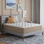 Wayfair Sleep 12'' Medium Premium Cooling Foam Hybrid Mattress-215285838-211093943